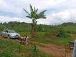 A picture of Get a plot of land at only 2 m shs