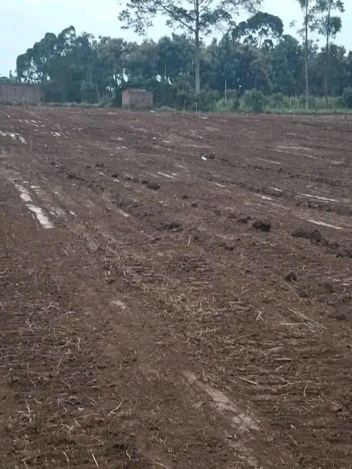 A picture of Plots