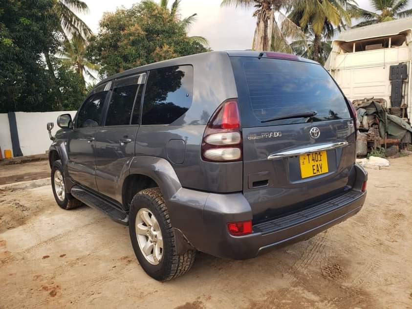 A picture of Prado 120