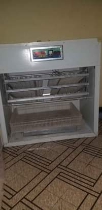 A picture of Incubator machine Inachukua mayai 528 Hatching 95 Inageuza yenyewe automatic