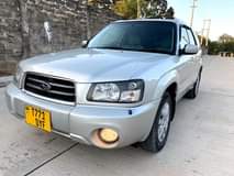 A picture of Foresta for sale call 0657633355
