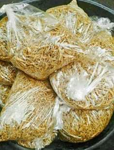 A picture of DAGAA KUTOKA MWANZA WABICHI WALIOKAANGWA