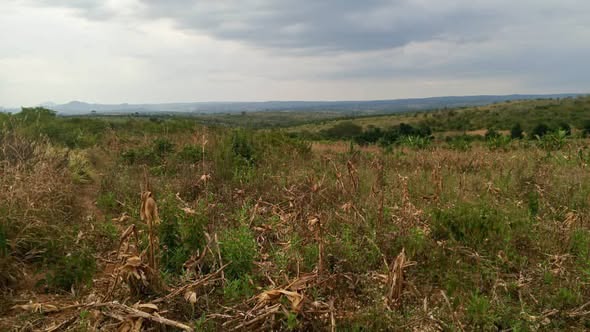 A picture of Shamba linauzwa lipo mbwewe