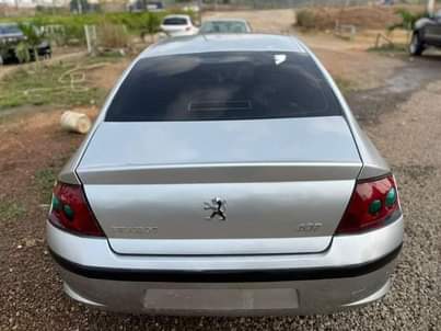 A picture of PEUGEOT 407