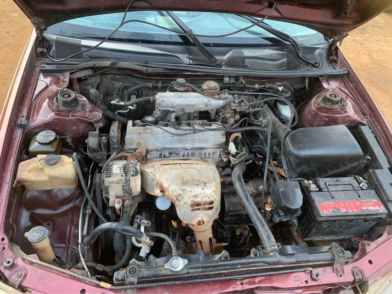 A picture of Camry Tiny light