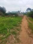 A picture of CHEAP PLOTs ON SALE 50x100ft for 5Million Located matugga kanyanda