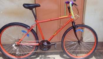 A picture of SPORTS BIKE