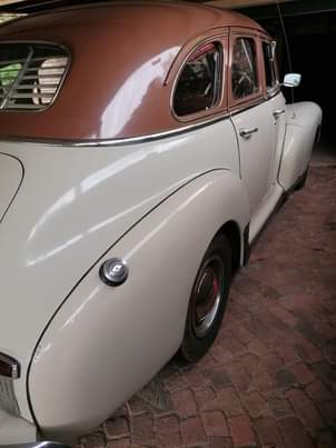 Classic,Muscle A.