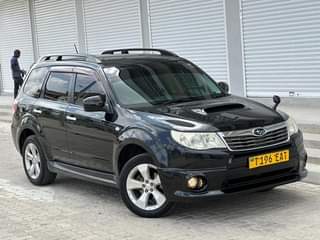 A picture of Forester