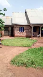 A picture of House