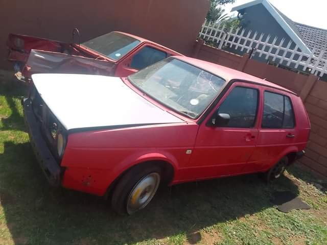 VW's F.