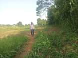 A picture of Plot size 100by85ft fram land on sale 4m located at
