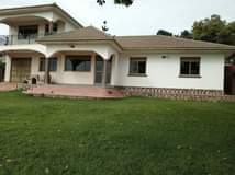 semi detached