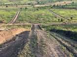 A picture of CHEAP CHEAP PLOTS AVAILABLE FOR SALE