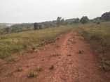 A picture of LAND