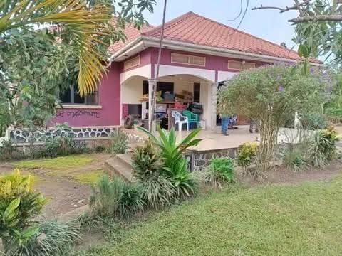 A picture of Hot deal on 1 acre MUKONO KAYUNGA ROAD COUNTRY _HOME