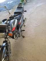 Surendra B.