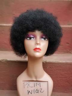 A picture of Primwigz