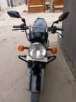 A picture of pikpik