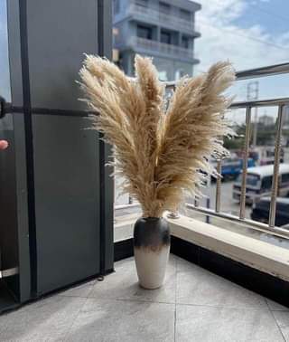 maua