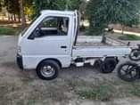 A picture of Carry