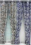 A picture of Pazia nzito
