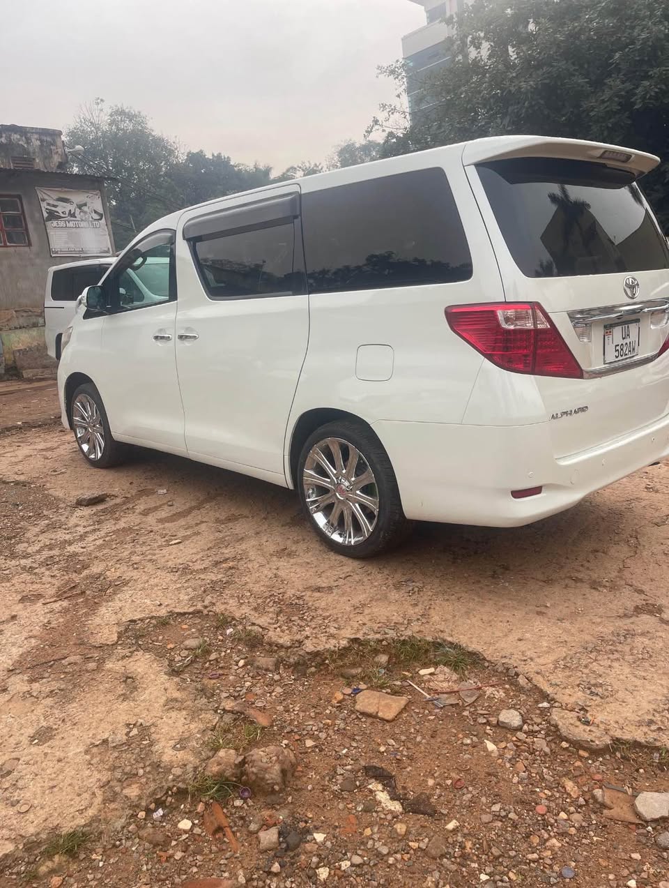A picture of Alphard