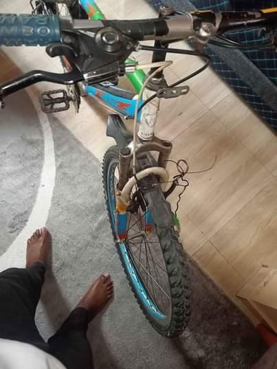 A picture of Bicycle