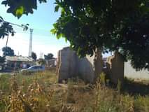 stands