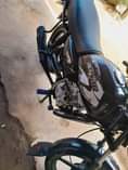 A picture of Boxer bei 700k piga au