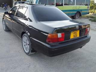A picture of Toyota carmy