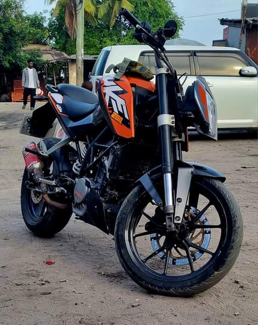 XPERT M.