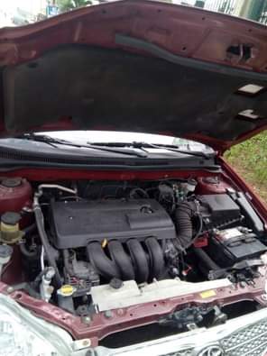 A picture of Here s a fresh Toyota corolla 2003 model Fresh off