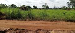 A picture of Land and plots on sale
