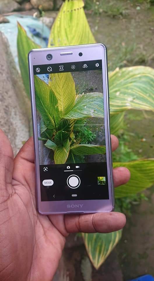 sony xperia