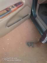 A picture of TOYOTA CAMRY BFN