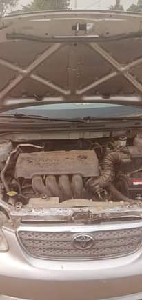 A picture of 2005 Toyota Corolla 4plug