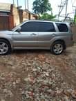 A picture of Forester
