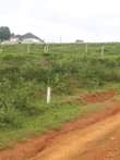 A picture of COMMERCIAL AND RESIDENTIAL PLOTS AVAILABLE FOR SALE