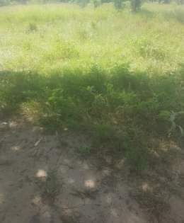 A picture of kiwanja heka moja mil 4 kwa 3 karibu na lami
