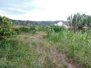 A picture of PLOT 50 100FT FOR SALE 