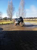 honda cbr