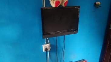 A picture of All for sale