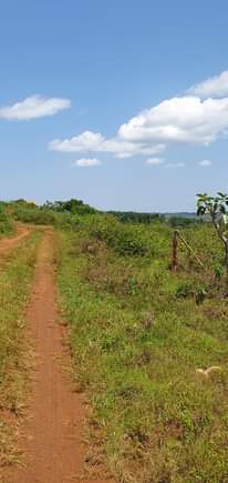 A picture of Unlock the potential of prime land at Nakiwogo Kasanje Half