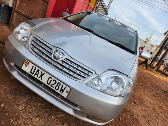 used toyota allex