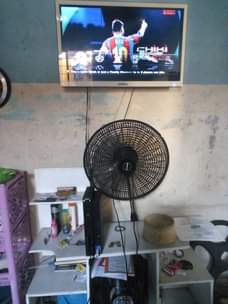 A picture of Nauza pes