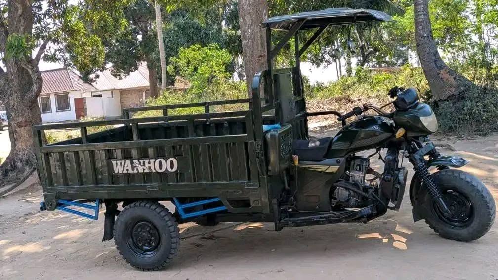 A picture of WANHOO