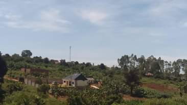 A picture of Plots