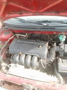 A picture of Corona sport