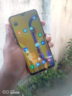 A picture of Samsung M30s